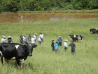 Nova Ramada em 2011 Foto Cleuza Brutti