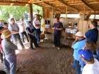 Rede Leite em Campos Borges em 2011 Foto Cleuza Brutti