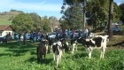 Dia de campo em UO de Espumoso Junho 2012