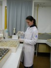 Preparação das amostras Laboratório de Solos da Unijuí Agosto 2012 Foto Jaqueline Peripolli